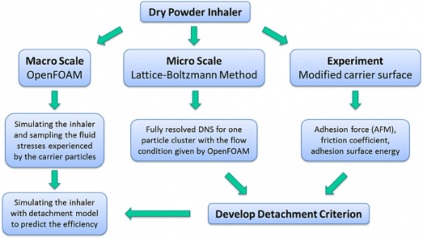 Dry Powder Inhaler Model