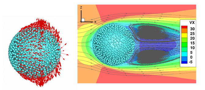 Lattice-Boltzmann Simulation Influence of inter-particle collisions on particle  clustering